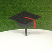 Immagine di Cake Topper con Tocco Laurea