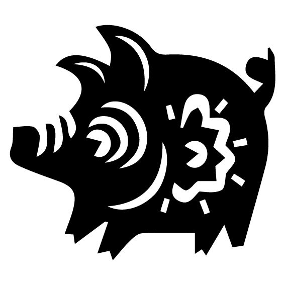 SEGNO ZODIACALE 13