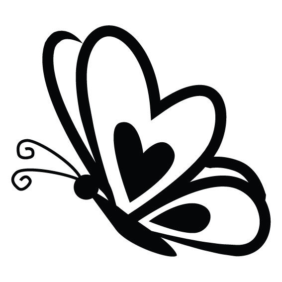FARFALLA 2