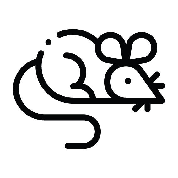 TOPOLINO