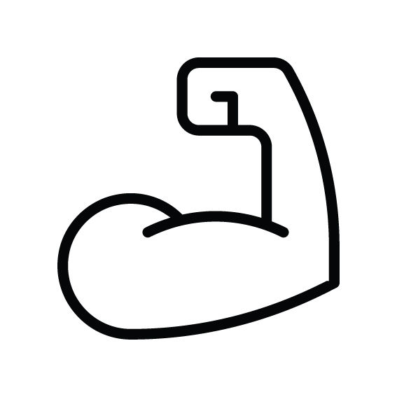Bicipite