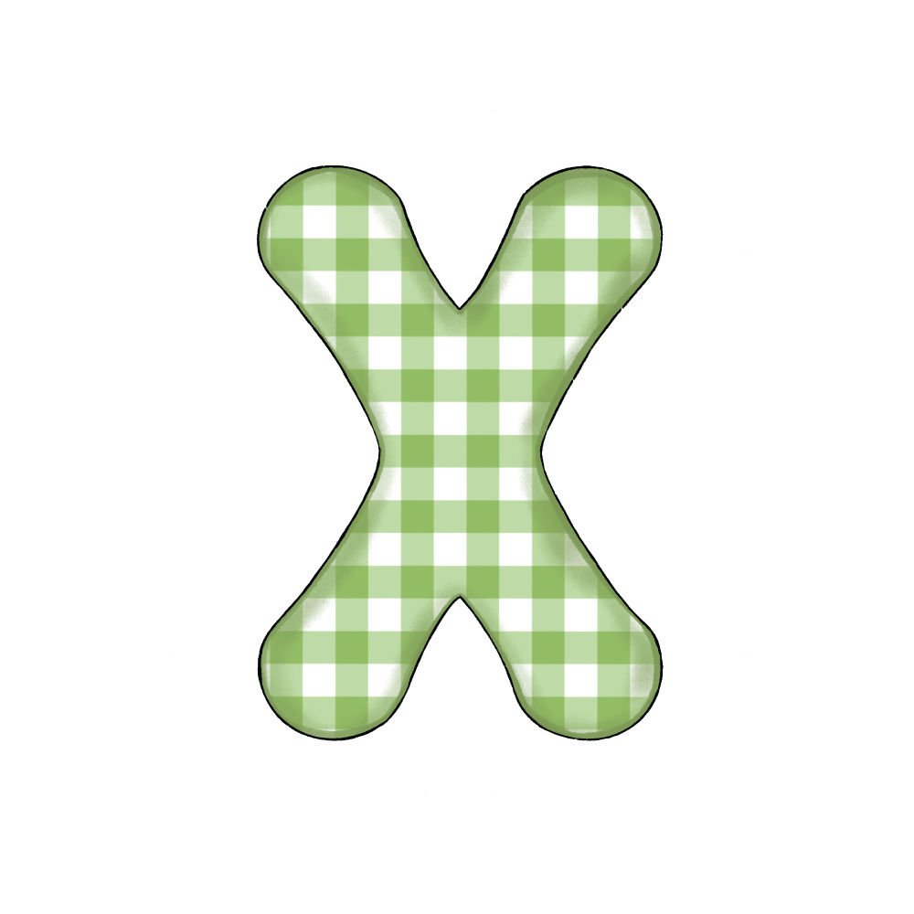 Lettera X Green Check