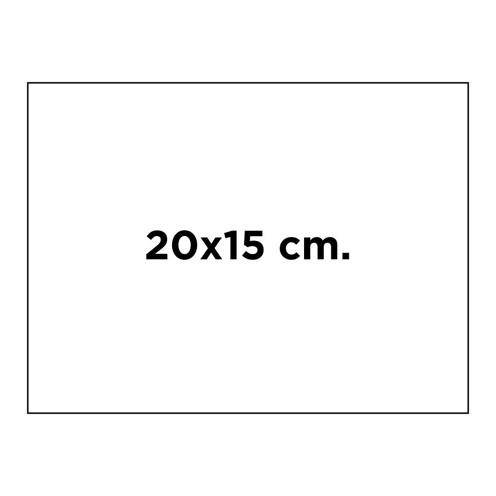 cm. 20x15