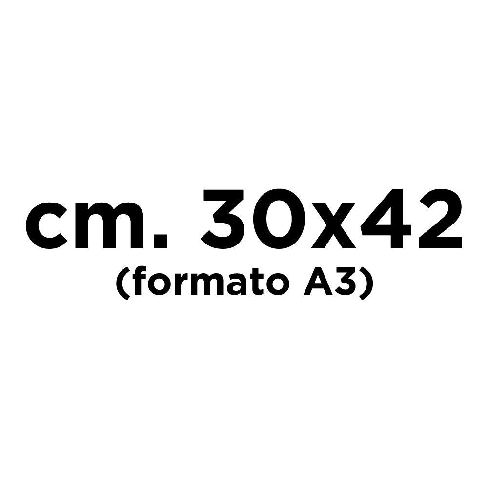 cm. 30x42 (formato A3)  [+ € 30,00] 